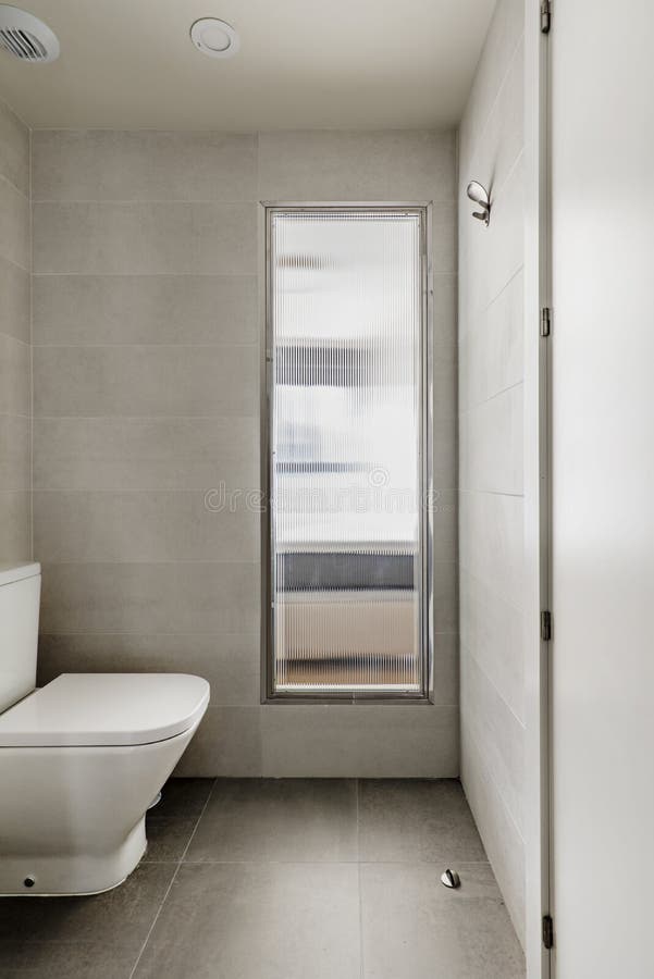 Toilet with Toilet Next To a Rectangular Translucent Glass Skylight