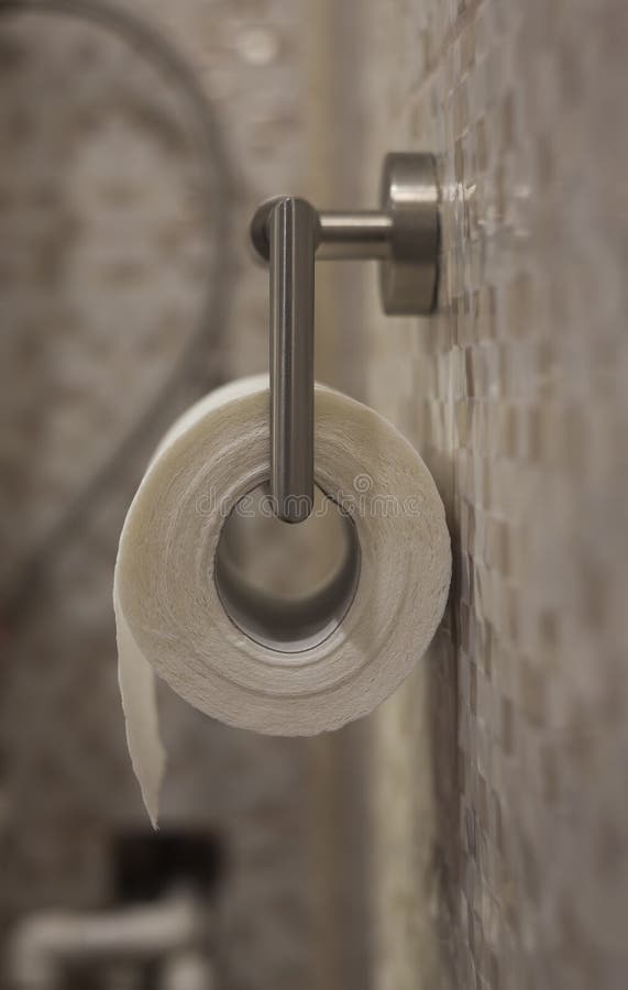 Toilet Paper on the Bathroom Stock Photo Image of domestic, holder