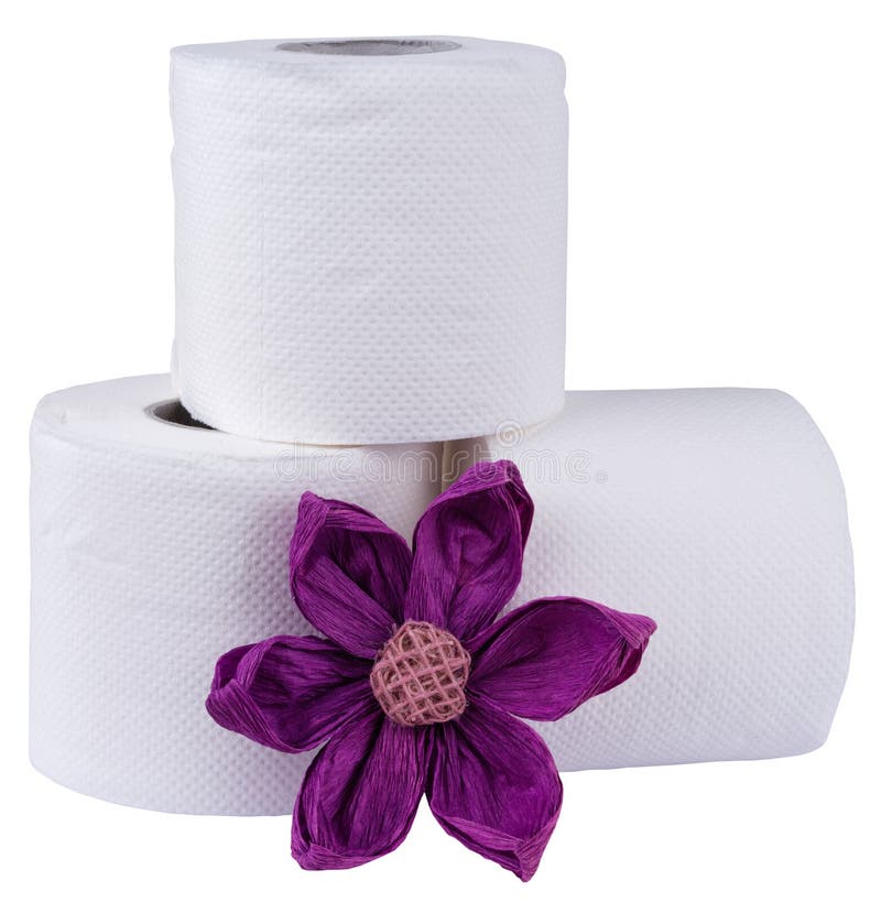 Toilet Paper Decorated with Paper Flower Stock Image Image of texture