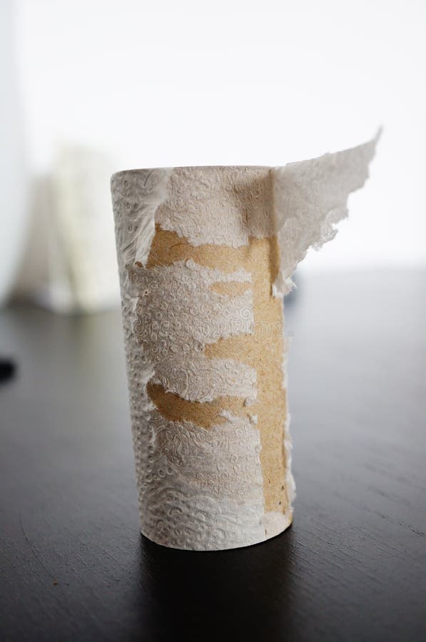 Toilet paper roll stock photo. Image of paper, roll, used 44768674
