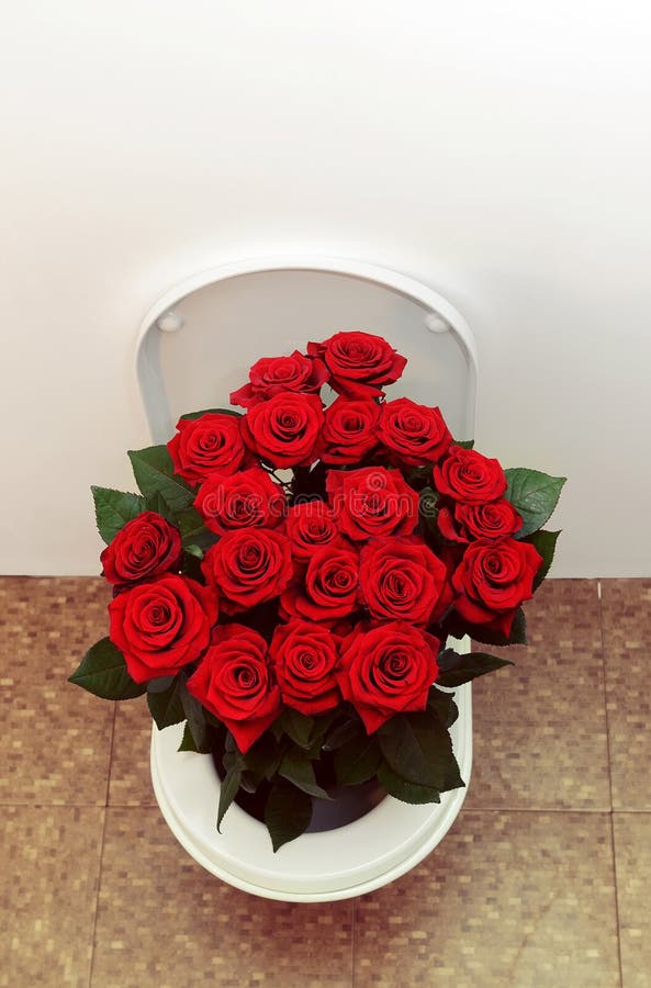 Toilet with roses stock image. Image of celebration, flowering 7162303