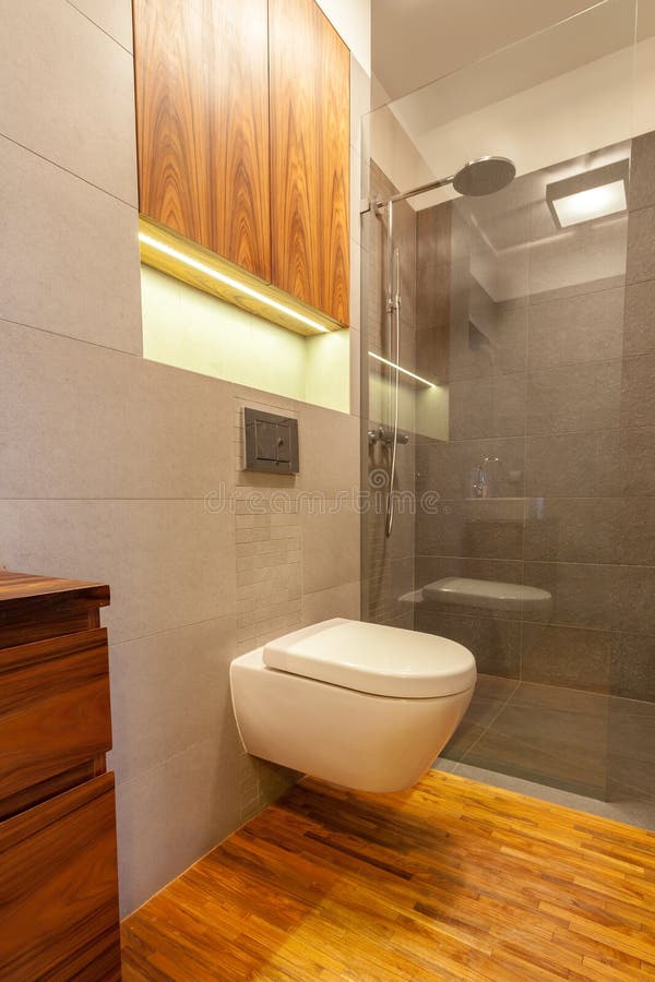 Toilet with shower stock photo. Image of furniture, fixture 40533688