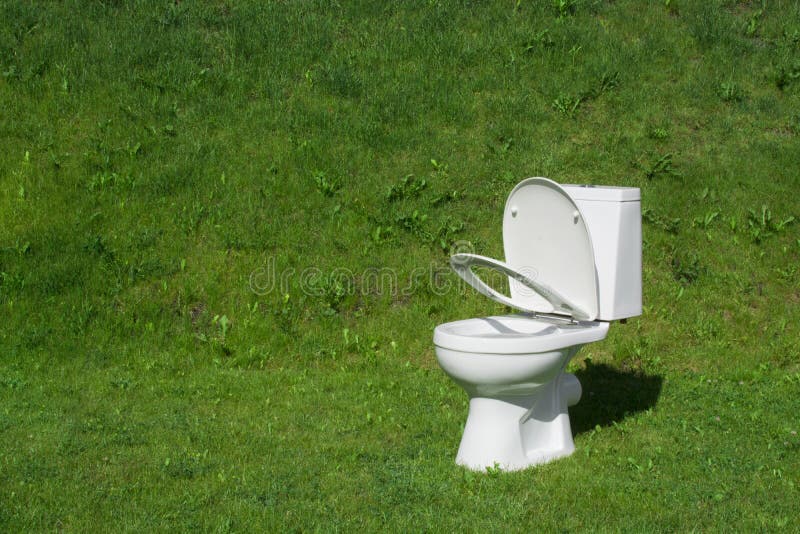 pitbull blanket amazon