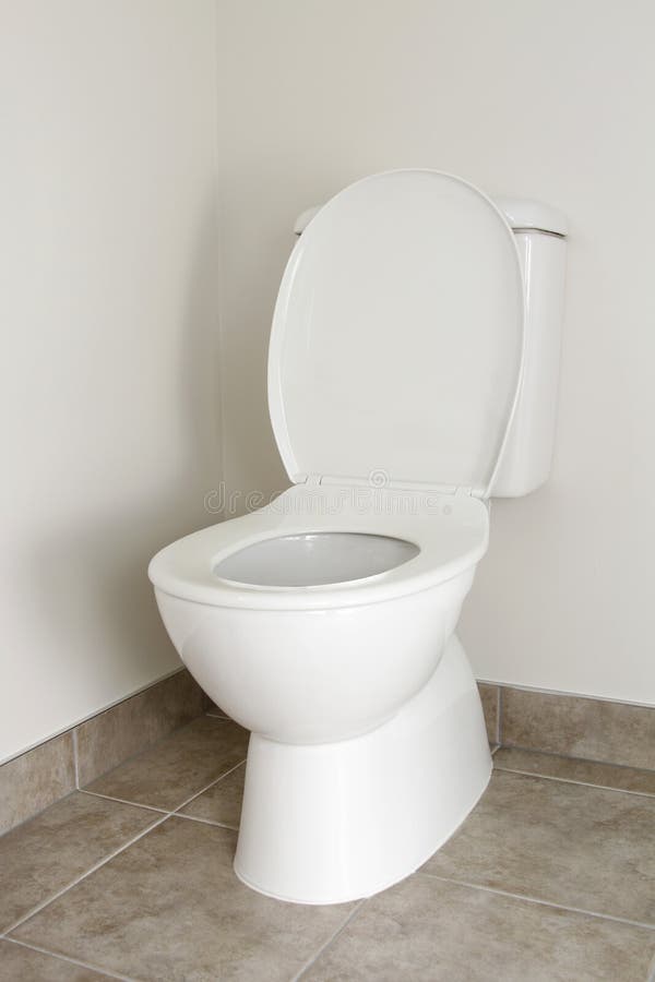 Toilet stock photo. Image of ceramic, white, convenience 42126190