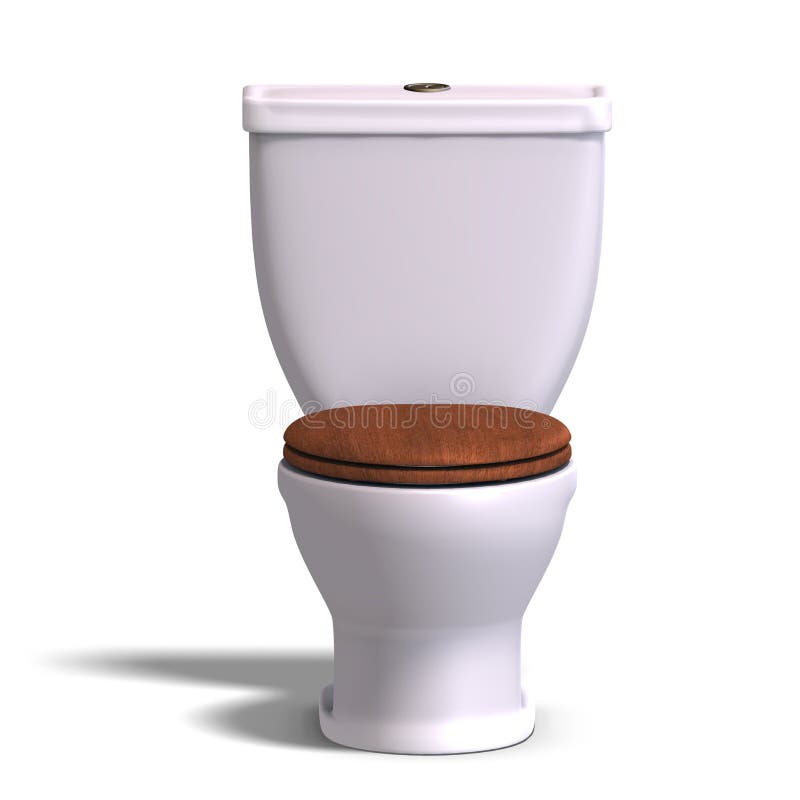 Toilet with wooden seat