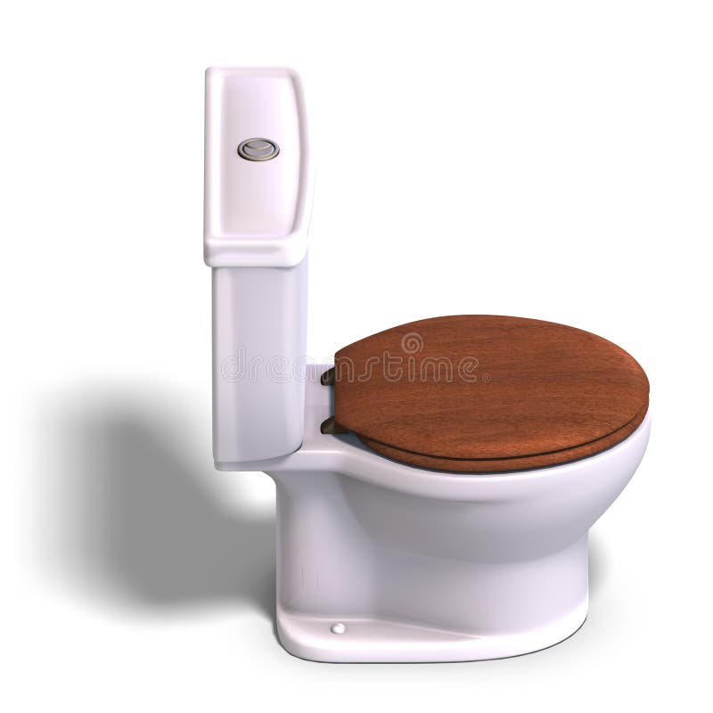 Toilet with wooden seat