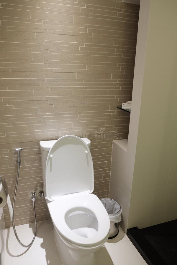 Toilette privata nella stanza moderna immagine stock libera da diritti Toilette privata nella stanza moderna immagine stock libera da diritti