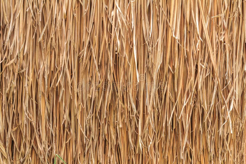 Toit de chaume photo libre de droits Toit de chaume photo libre de droits