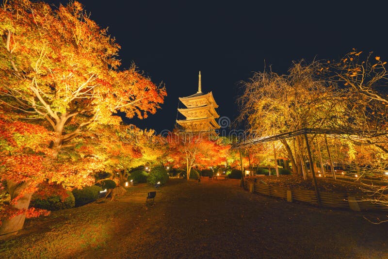 Toji Pagoda Temple with red maple leaves or fall foliage in autumn season. Colorful trees, Kyoto, Japan. Nature and architecture stock image Toji Pagoda Temple with red maple leaves or fall foliage in autumn season. Colorful trees, Kyoto, Japan. Nature and architecture stock image
