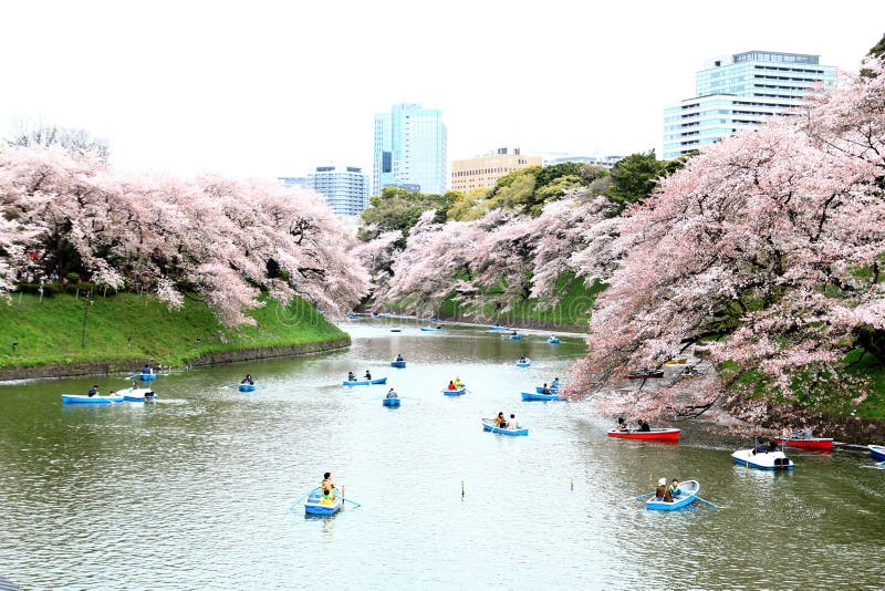 Tokio, Japón - 4 de abril: Una gente no identificada se relaja en cereza fotos de archivo libres de regalías Tokio, Japón - 4 de abril: Una gente no identificada se relaja en cereza fotos de archivo libres de regalías