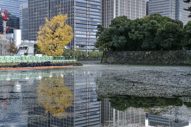 Tokyos mrakodrapy a strom odrazy na vodní kanál kolem Císařů bydliště.