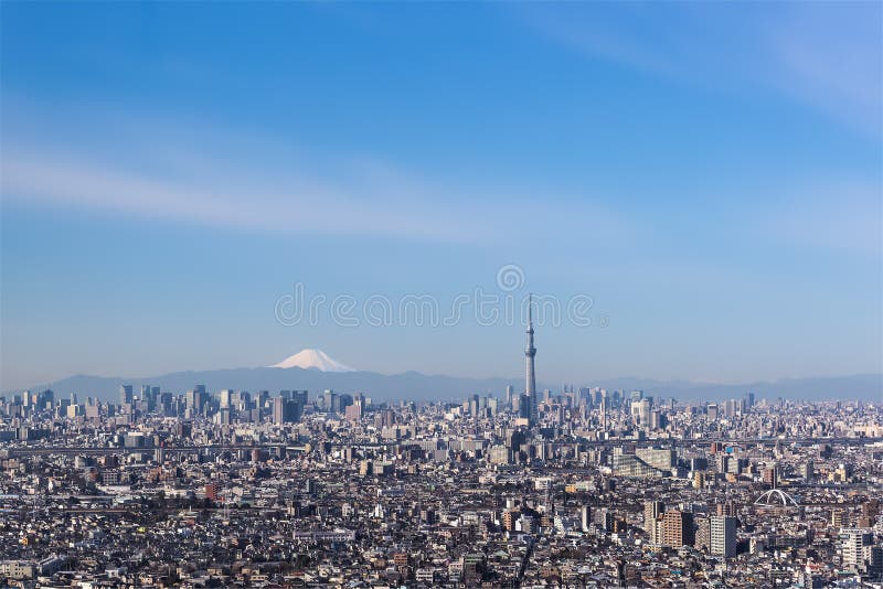 mt fuji view from tokyo