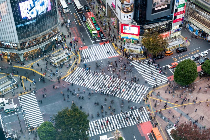 Tokyo, Giappone - 8 novembre 2017: Vista aerea dei pedoni che camminano attraverso con il traffico ammucchiato all'incrocio di Sh fotografie stock libere da diritti Tokyo, Giappone - 8 novembre 2017: Vista aerea dei pedoni che camminano attraverso con il traffico ammucchiato all'incrocio di Sh fotografie stock libere da diritti