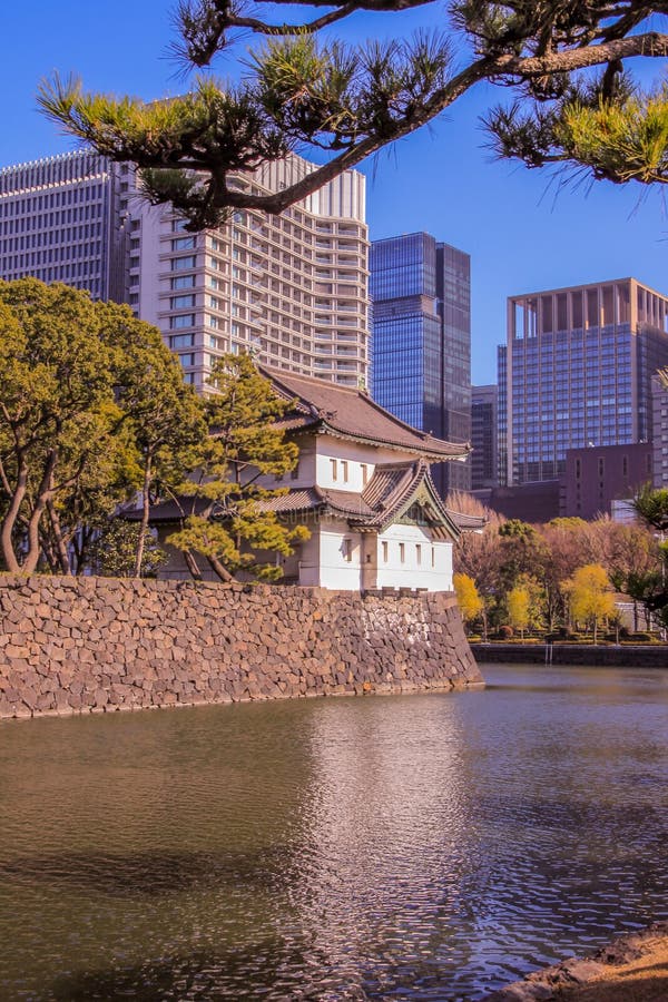 Tokyo Gardens Copperas Cove Tx: Discover Tranquil Retreats