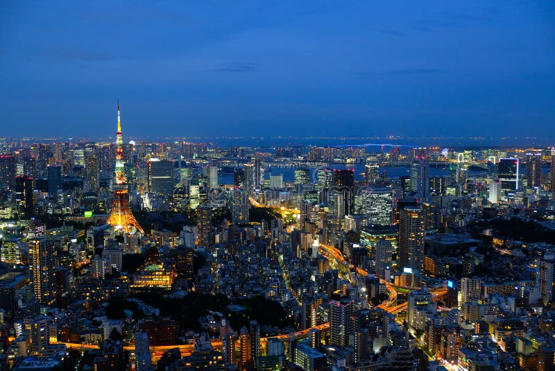 13 190 Tokyo Night Skyline Photos Free Royalty Free Stock Photos From Dreamstime