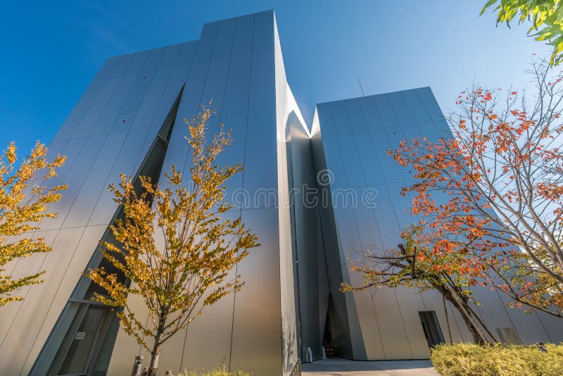 Tokyo, Sumida-ku - Nobember 17, 2017 : Autumn colors, Fall foliage on Ichou or Ginkgo biloba trees at Sumida Hokusai Museum (Sumida Hokusai Bijutsukan) side entrance. Designed by Kazuyo Sejima