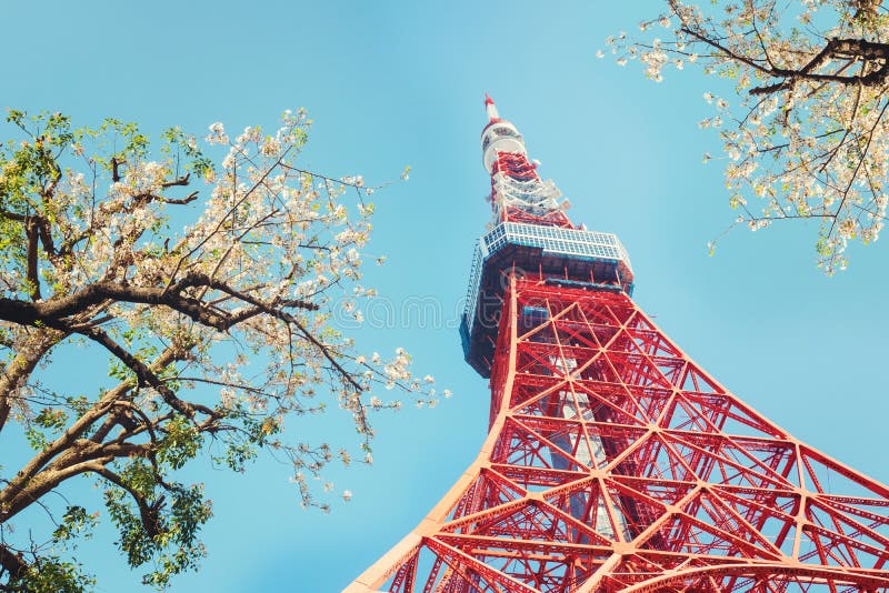 Tokyo-Turm mit Kirschblütenbäumen stockfotografie Tokyo-Turm mit Kirschblütenbäumen stockfotografie
