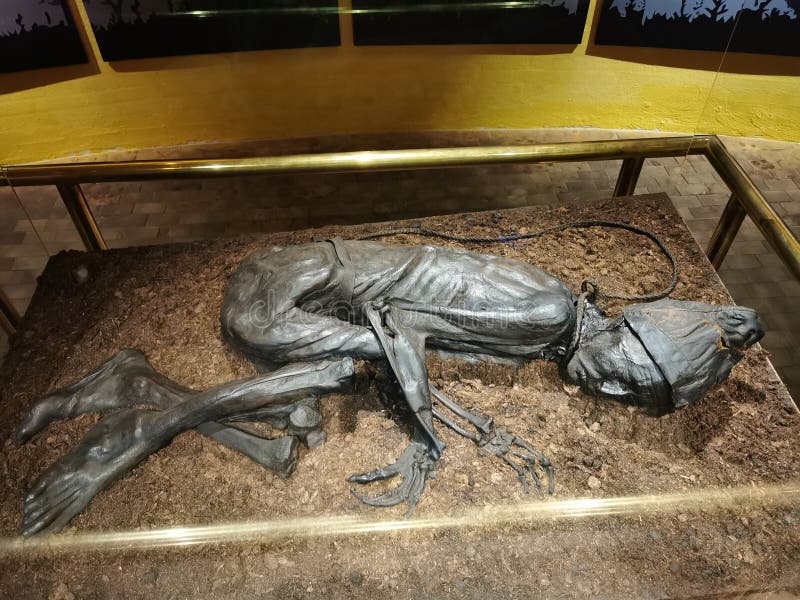 how was the tollund man found