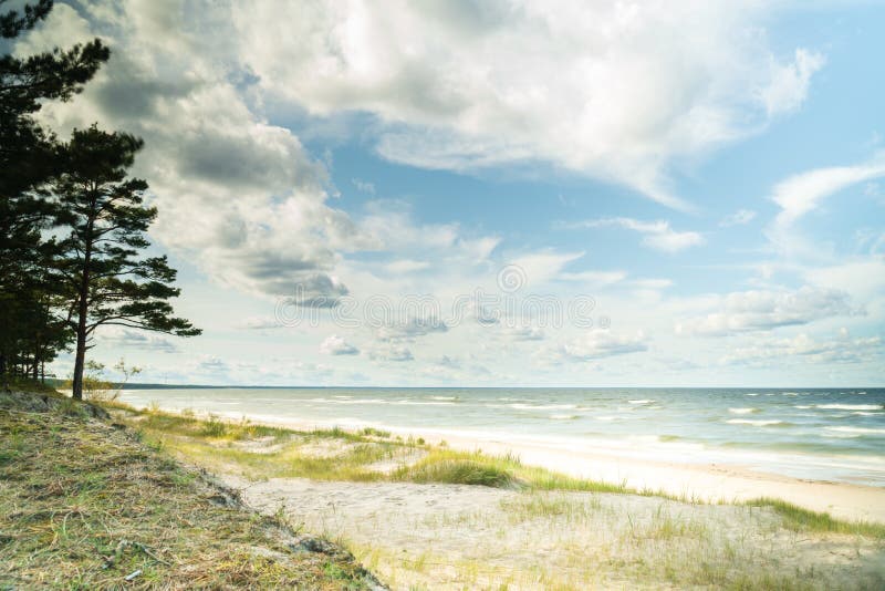Tom baltisk strand på höstdagen i Lettland fotografering för bildbyråer