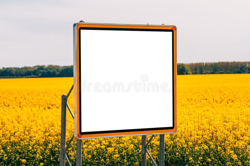 Tom skylt mockup i odlat rapsfält royaltyfri foto