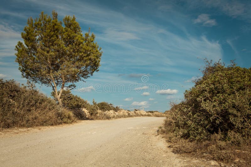 Tom väg i destination för blå himmel för solljus arkivfoto Tom väg i destination för blå himmel för solljus arkivfoto