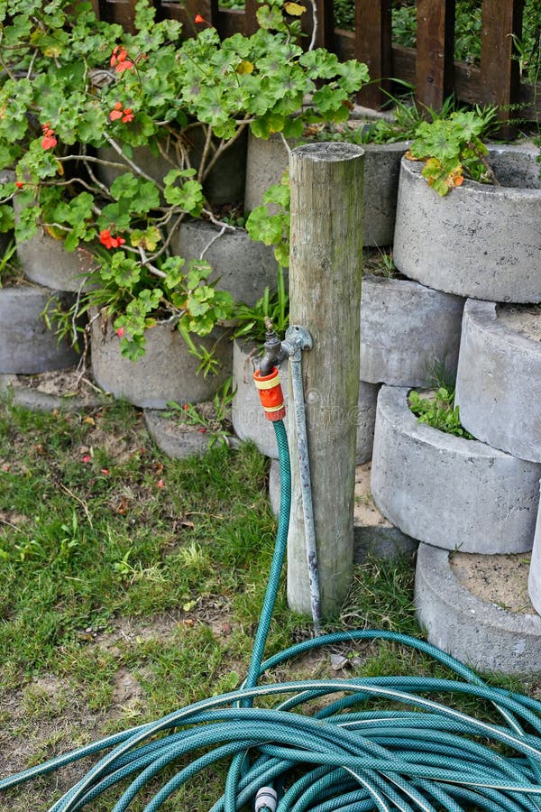 Toma Vertical De Una Manguera De Agua Cerca De Macetas De Flores De Cemento  En Un Jardín Imagen de archivo - Imagen de crecimiento, jardinero: 171975441