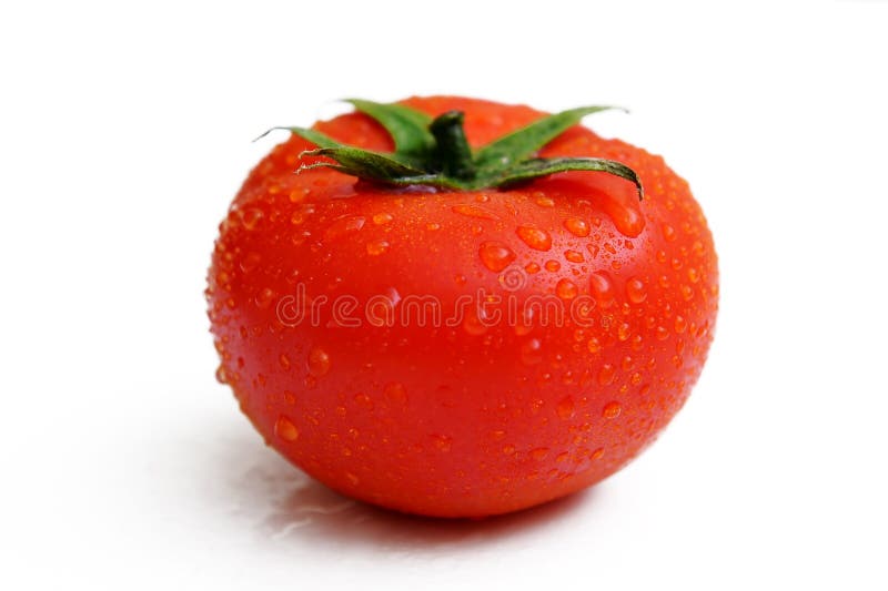 tomat royaltyfri bild