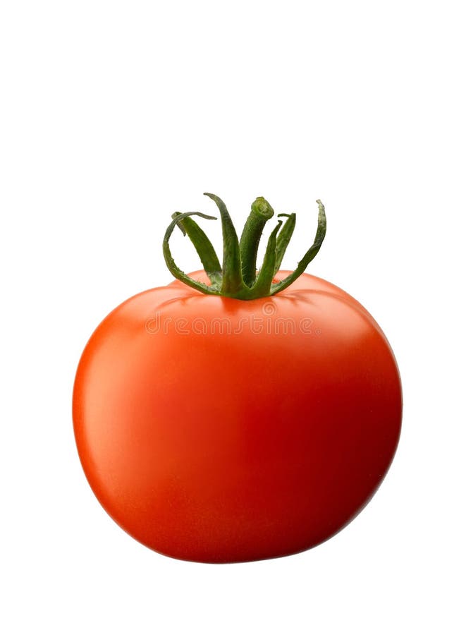 tomat tomat