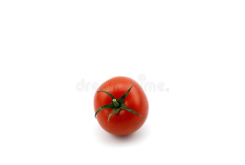  Tomat royaltyfri bild