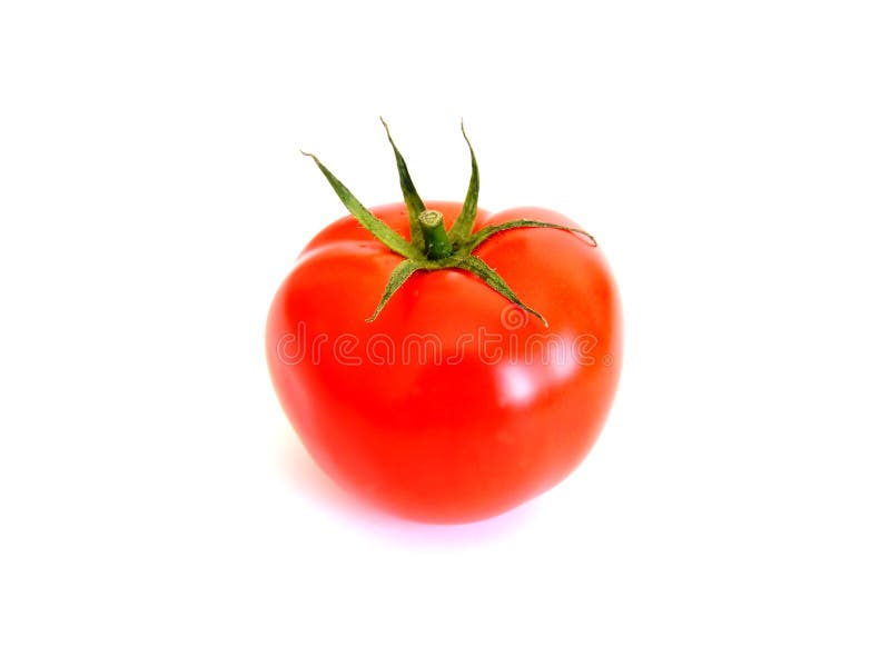 Tomate fotografia de stock