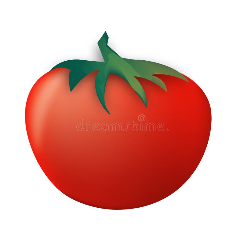 Tomate Stock Illustrations, Vecteurs, & Clipart – (308,981 Stock  Illustrations)