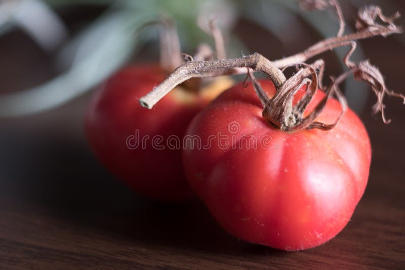 Download Tomate image stock. Image du organique, frais, cuisine - 76081263