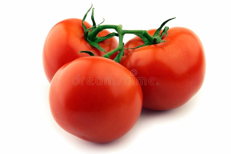 2 926 Tomate Photos Free Royalty Free Stock Photos From Dreamstime