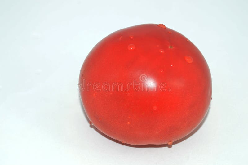 Tomate aislado con descensos del agua imagen de archivo Tomate aislado con descensos del agua imagen de archivo