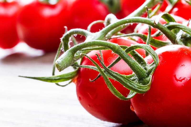 Tomate-cerise images libres de droits Tomate-cerise images libres de droits
