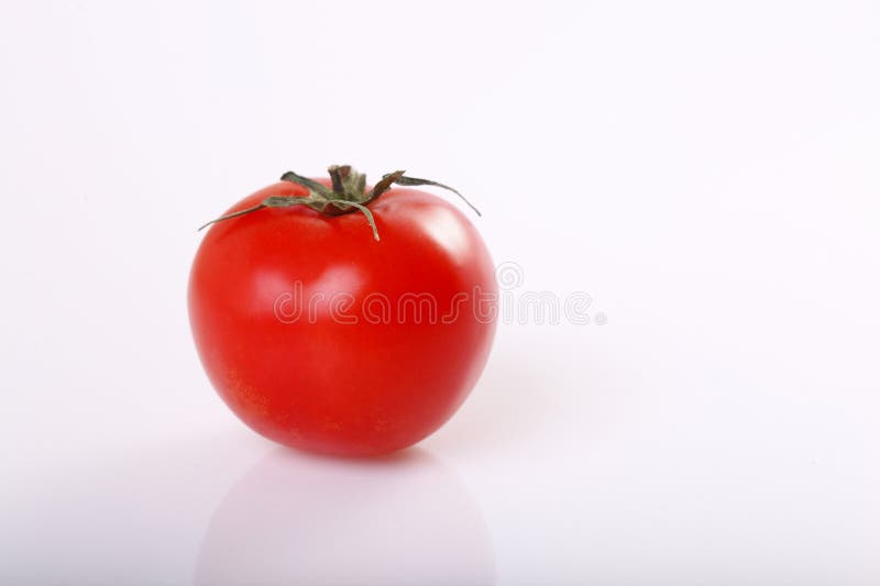 tomate no backgroun branco imagens de stock tomate no backgroun branco imagens de stock
