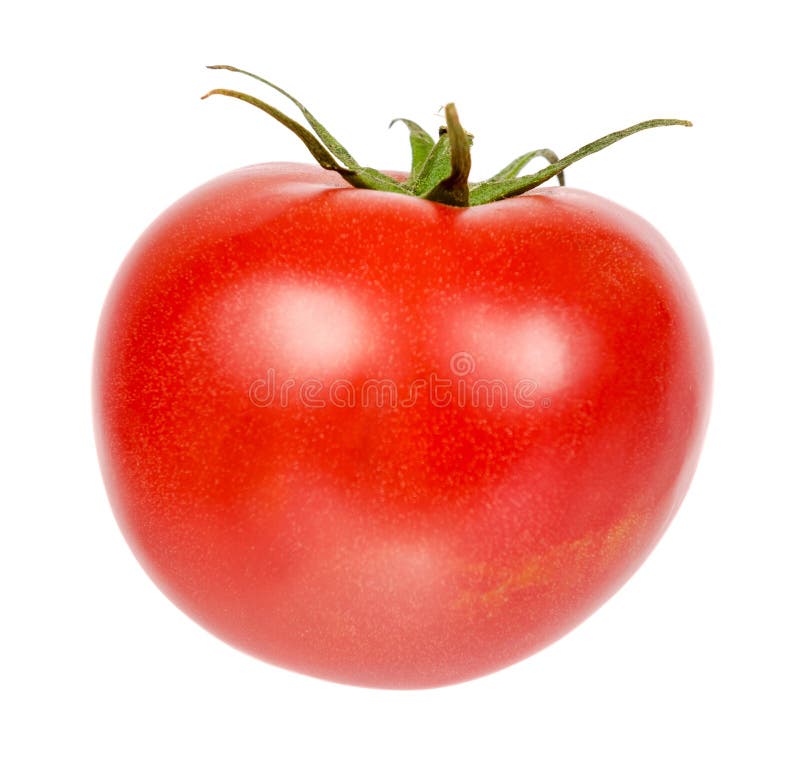 Tomate vermelho cru inteiro fresco com a folha verde, isolada no fundo branco fotografia de stock royalty free Tomate vermelho cru inteiro fresco com a folha verde, isolada no fundo branco fotografia de stock royalty free