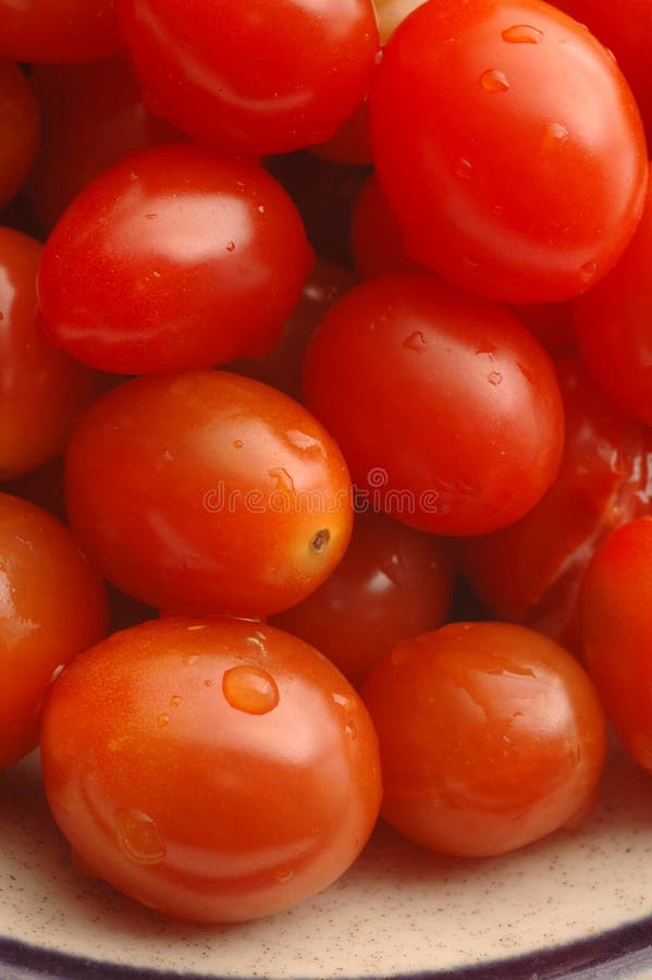 Tomaten 2 van de druif stock fotografie Tomaten 2 van de druif stock fotografie