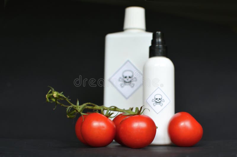 Tomaten und Giftflasche auf schwarzem Hintergrund