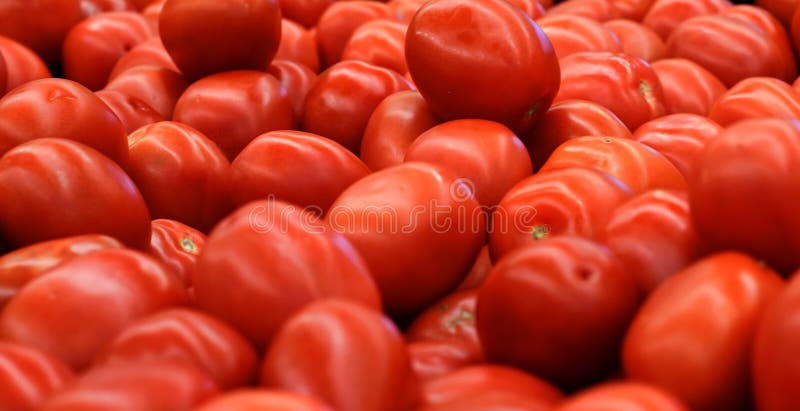 Tomaten van Fresg de rode Rome royalty-vrije stock afbeelding Tomaten van Fresg de rode Rome royalty-vrije stock afbeelding