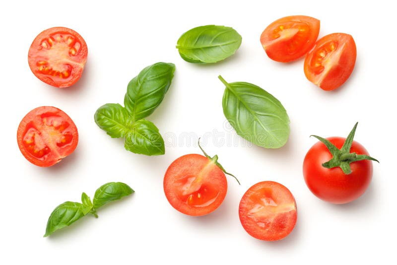 Tomater och Basil Leaves Isolated på vit bakgrund royaltyfri foto