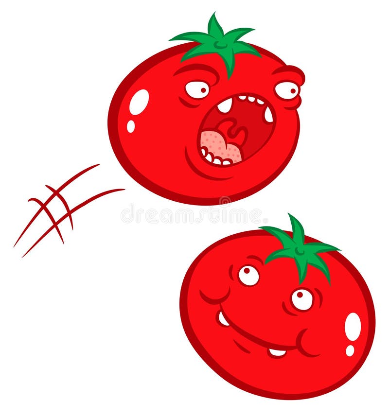 Tomates ilustração do vetor