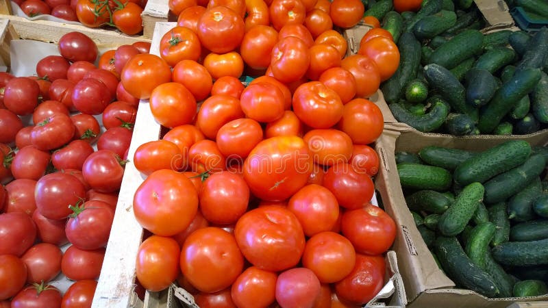 Tomates concombres rouges et verts dans des boîtes. Les légumes sur le marché ou au supermarché des agriculteurs locaux. Riche réc