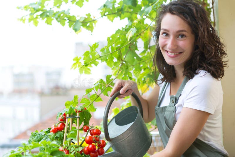 Tomates de arrosage de jeune femme sur son jardin de balcon de ville - Natur