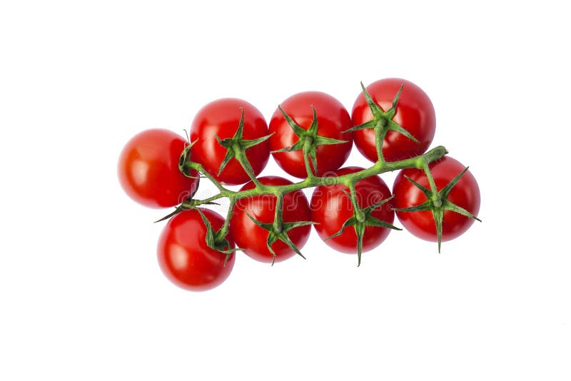 Tomates de cereza, fondo aislado, blanco, visión superior Foto del estudio, espacio de la copia imágenes de archivo libres de regalías Tomates de cereza, fondo aislado, blanco, visión superior Foto del estudio, espacio de la copia imágenes de archivo libres de regalías