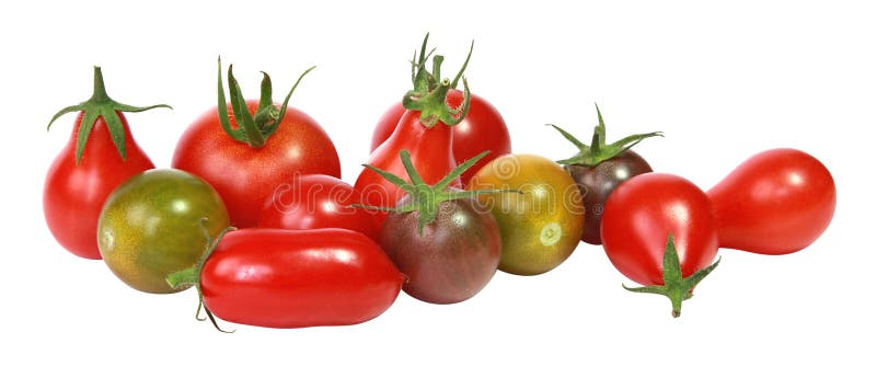 Cherry tomatoes of different varieties isolated on white background. Cherry tomatoes of different varieties isolated on white background