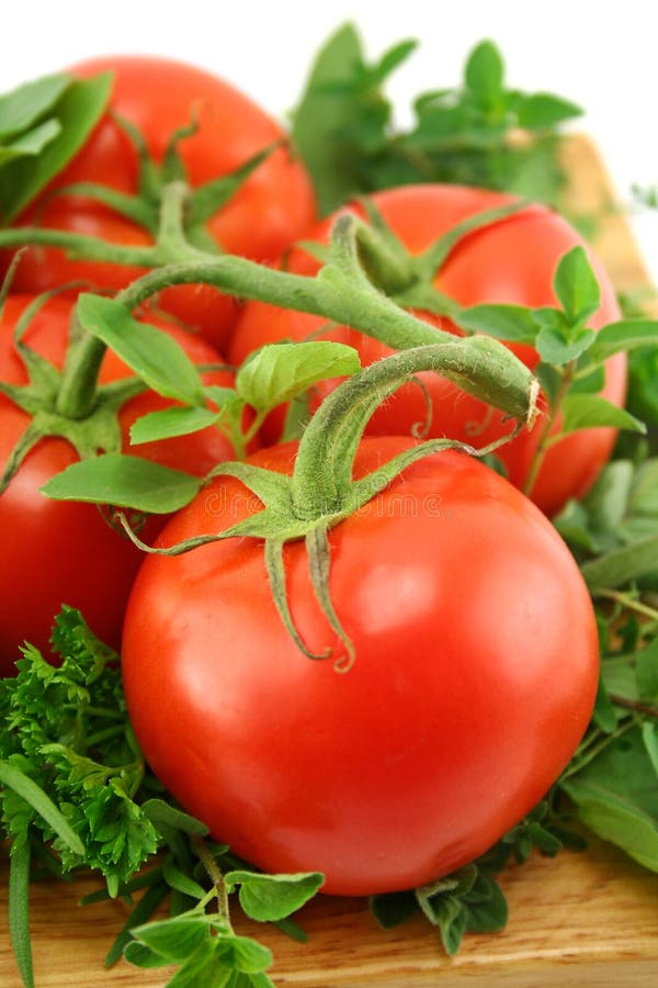 Tomates e ervas