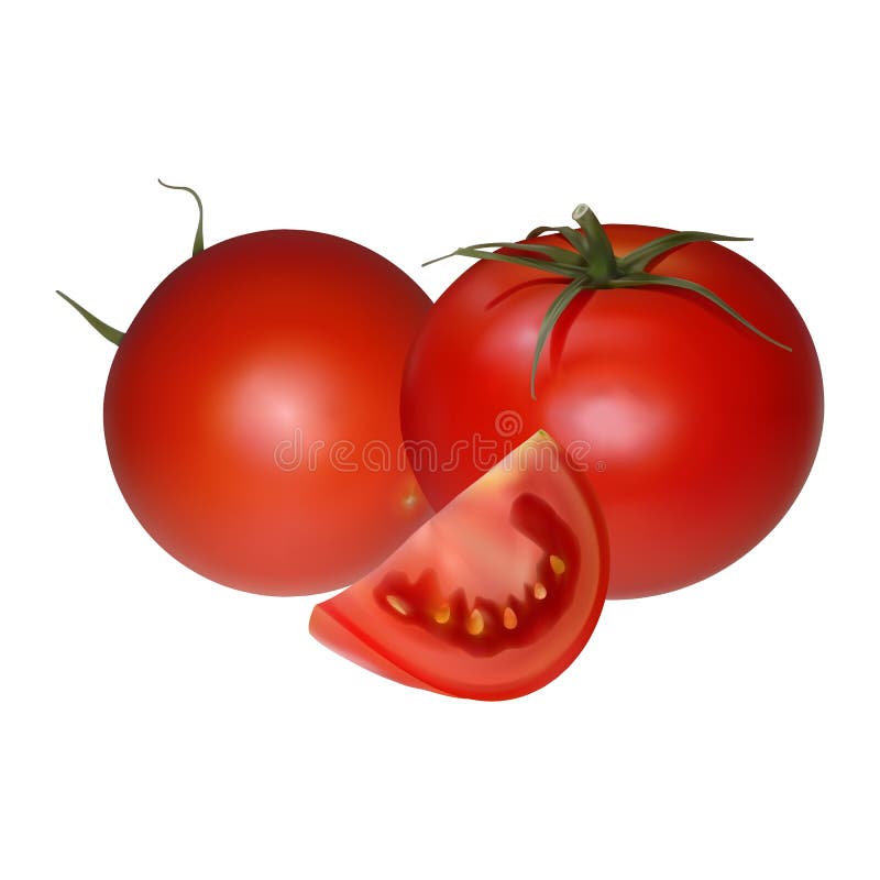 Tomates e fatia suculentos frescos realísticos do tomate ilustração do vetor 3d ilustração stock Tomates e fatia suculentos frescos realísticos do tomate ilustração do vetor 3d ilustração stock