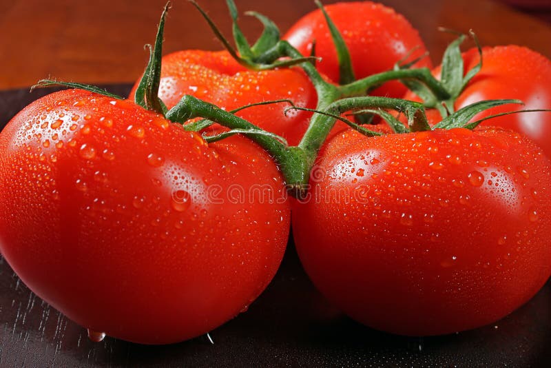 Tomates en manojo imágenes de archivo libres de regalías Tomates en manojo imágenes de archivo libres de regalías