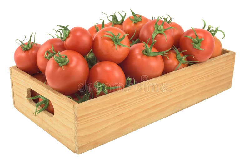 Verduras Del Tomate En Un Cajón Imagen de archivo Imagen de tomates